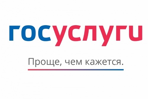 Цифровое удостоверение для многодетных семей Цифровое удостоверение для многодетных семей.
